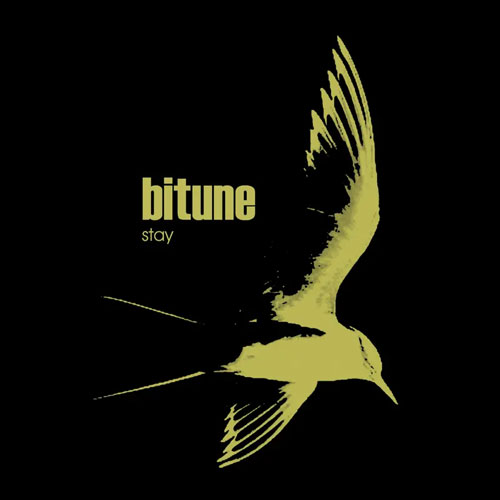 Bitune - Stay